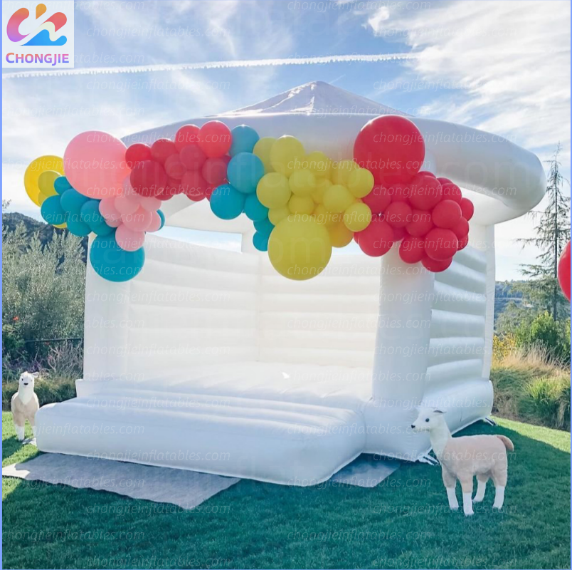 Inflatable house 1