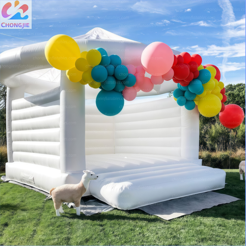 Inflatable house 6