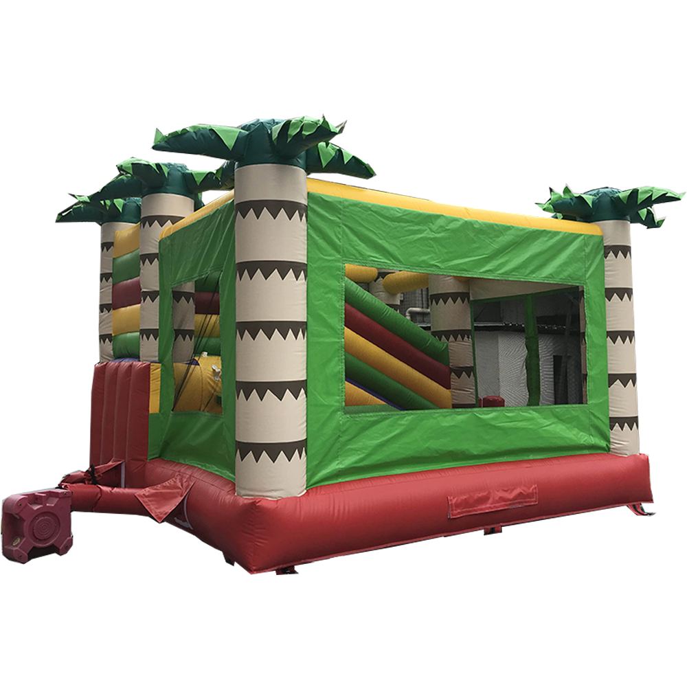 Inflatable Bouncer 2