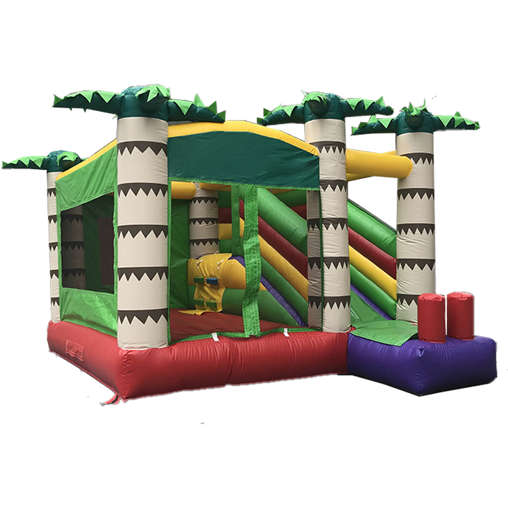 Inflatable Bouncer 3