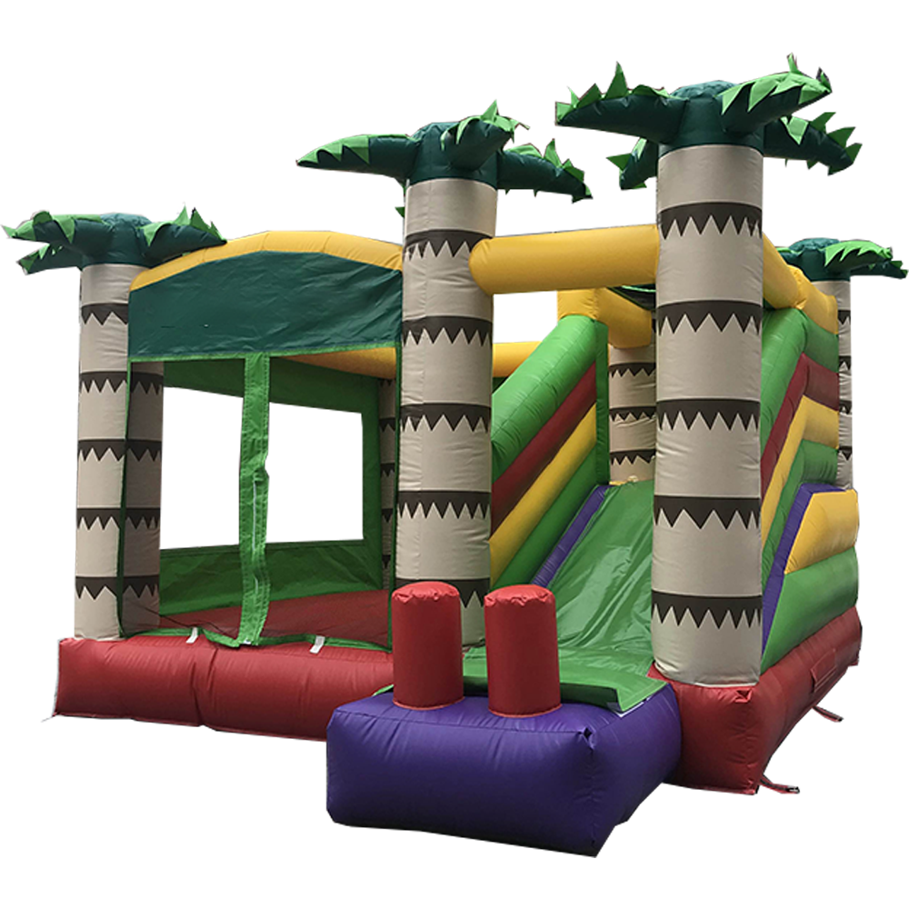 Inflatable Bouncer 3